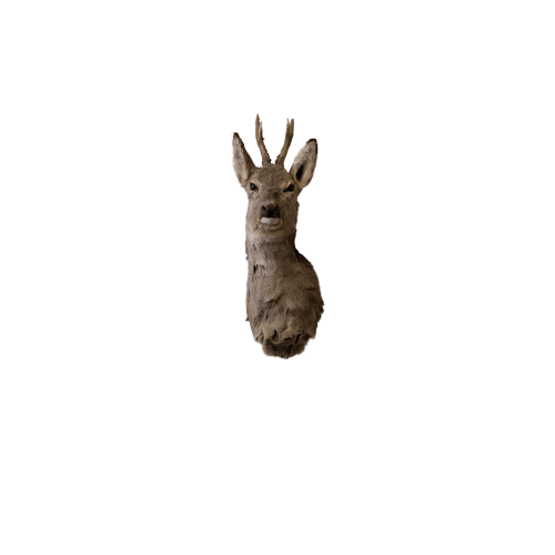 Deer head Small