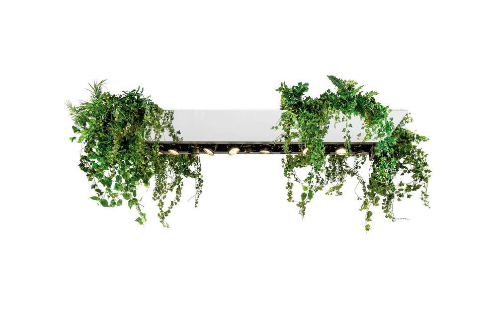 Eland® Plants Mirrors Pinspots (12)