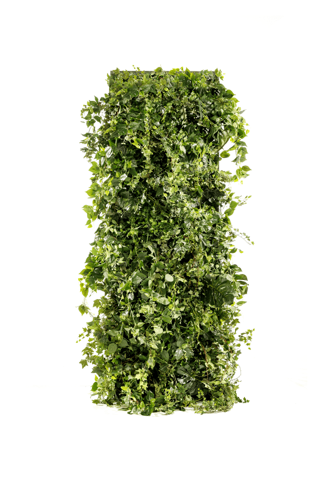 Eland® Green Wall